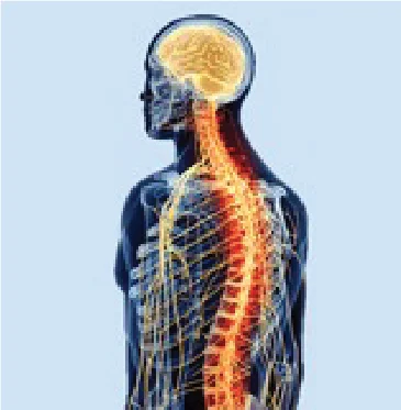 Types of Brain and Spinal Cord Tumor and their treatment